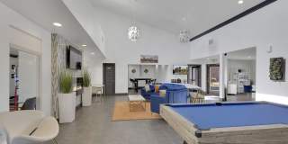 The Modern Gallery 51