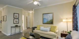 Vineyard Springs Gallery 1