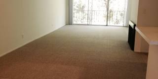 Hillside Terrace Gallery 2