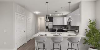 Cadence Music Factory Gallery 13