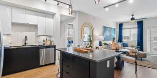 Tortoise One Gallery 4