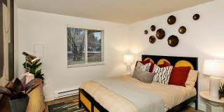 ReNew Dash Point Gallery 15