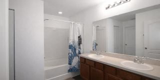 3554 SHINER Drive Gallery 12