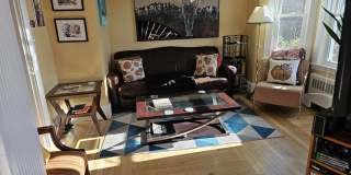 151 Walsh St Gallery 11