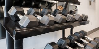 The Grove Gallery 33