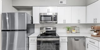 Elliot Roswell Gallery 5