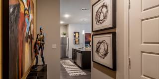 Timberhill Commons Gallery 13