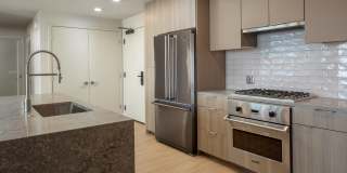 The Merian Gallery 82