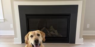 1314 Carlyle Lane Gallery 2