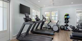 Hawthorne at Pine Forest Gallery 13