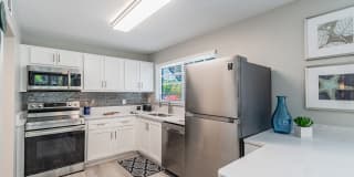 Bermuda Cay Gallery 6