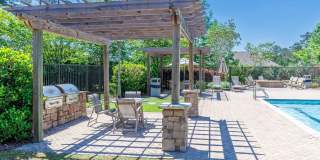 4/2 Stonebridge Rental with Modern Upgrades, Private Wooded Views & Resort-Style Amenities Gallery 33