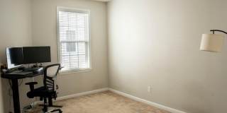 42294 SAN JUAN Terrace Gallery 8