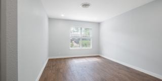Modernized 3 Bedroom Home Near Mueller ~ Huge Backyard & Deck Gallery 5