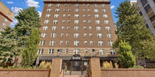 The Novelist The Novelist Gallery 1