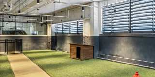 The Foundry Gallery 55