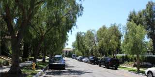 48 Nature Gallery 3