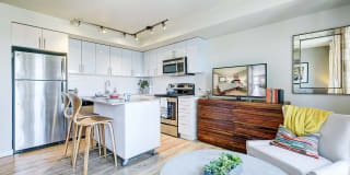 Spruce Gallery 9
