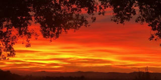 8808 CHATLAKE Dr Gallery 4