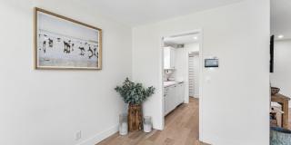 207 Tropic Isle Drive Gallery 10