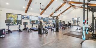 Premier at West Park Gallery 24