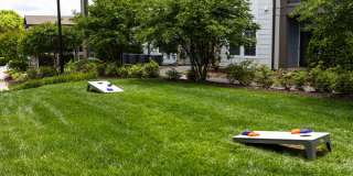 Avery at Turkey Creek Gallery 8