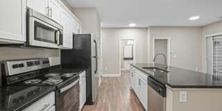 5151 Foxtail Pine Street Gallery 12