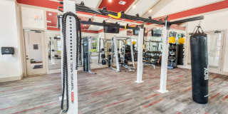 The Dylan at Grayson Gallery 24