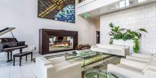 Ovation 309 Gallery 23