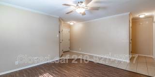 10343 Lion Chase Gallery 8