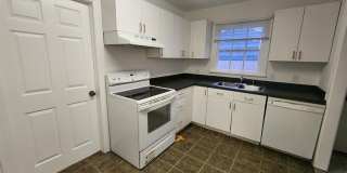 3 Bed 2 Bath in Hyde Park with Huge Yard Gallery 8