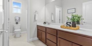 230 Steven Bridges Gallery 22