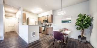 The McKenzie Gallery 8