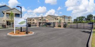 Springs at Colonial Gallery 47