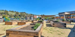 Beautiful Energy Efficient Hayward Townhome w/ Modern Updates Gallery 33