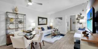 La Serena at the Parque Gallery 10