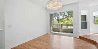 Spacious 1BR/1BA Harbour Island Condo with 2 Car Garage in Gated Island Place Gallery 8