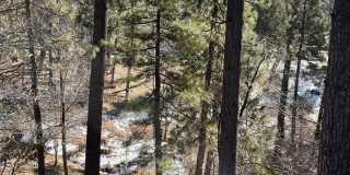 23285 Ca-243 Gallery 11