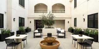 Silhouette Gallery 25