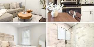 243 Lincoln Avenue Gallery 1