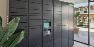 Laurel Pointe Gallery 19