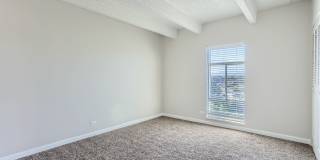 The Paramount Gallery 11