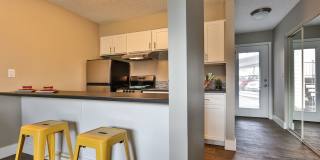 The Zimmer Gallery 5