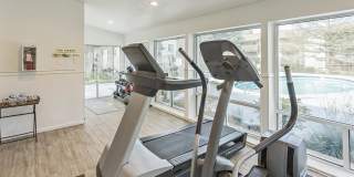 Springwood Gallery 9