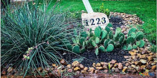 1223 Gruene Vintage Gallery 2