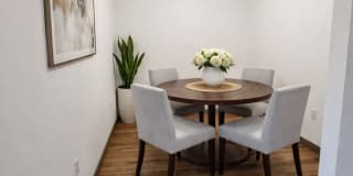 The Verge Gallery 45