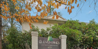 Eleven Pines Gallery 12