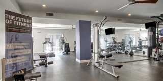 The Royal Belmont Gallery 15