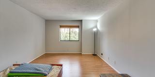 1 Bedroom Condo in Building with Amenities! 1 Bedroom Condo in Building with Amenities! Gallery 17