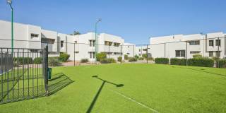 Cove on 44th Gallery 22